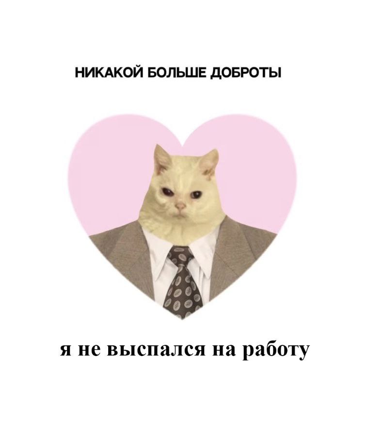 catsilcats's tweet photo. https://t.co/GXLQBoeJu9