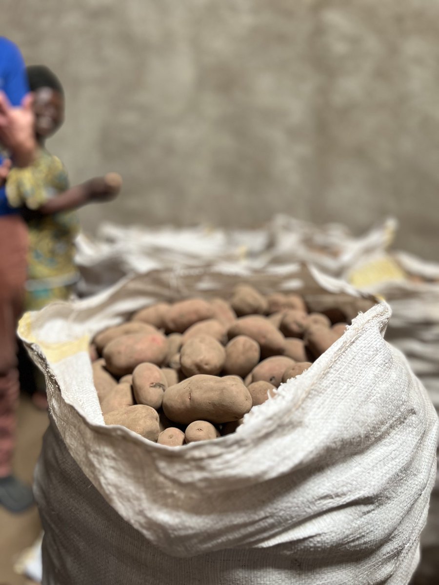 SwedeninRW's tweet image. STORIES OF CHANGE
Sweden partners with @AFRwanda on enhancing access to finance in Rwanda, especially for women & small businesses.
Thanks to the support, Therese Uwamahro and her potato cooperative can loan money to expand their farming operations.
#storiesofchangeSE