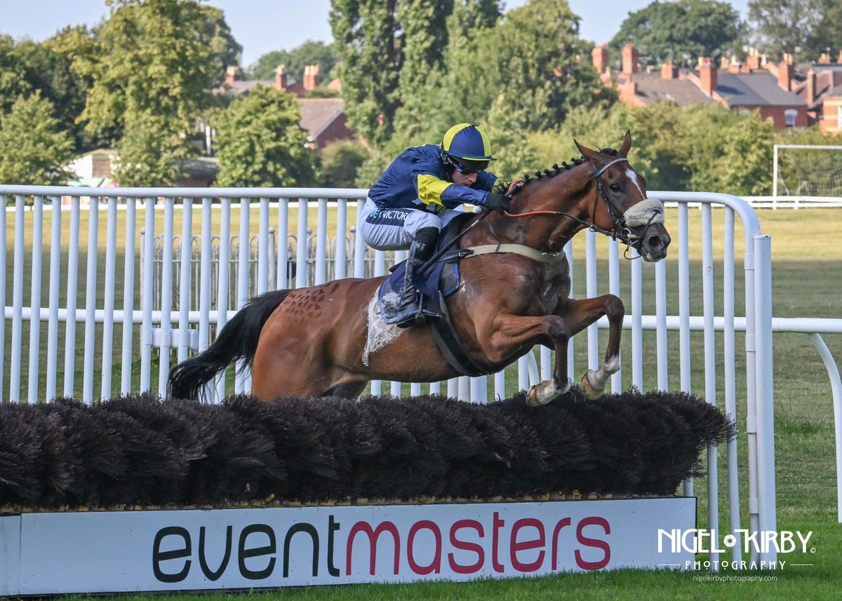 Nigel Kirby Photography (@nigekirby) on Twitter photo 