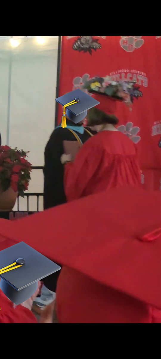 TheMiniCryptid's tweet image. Guys I did it! I graduated! I did it!