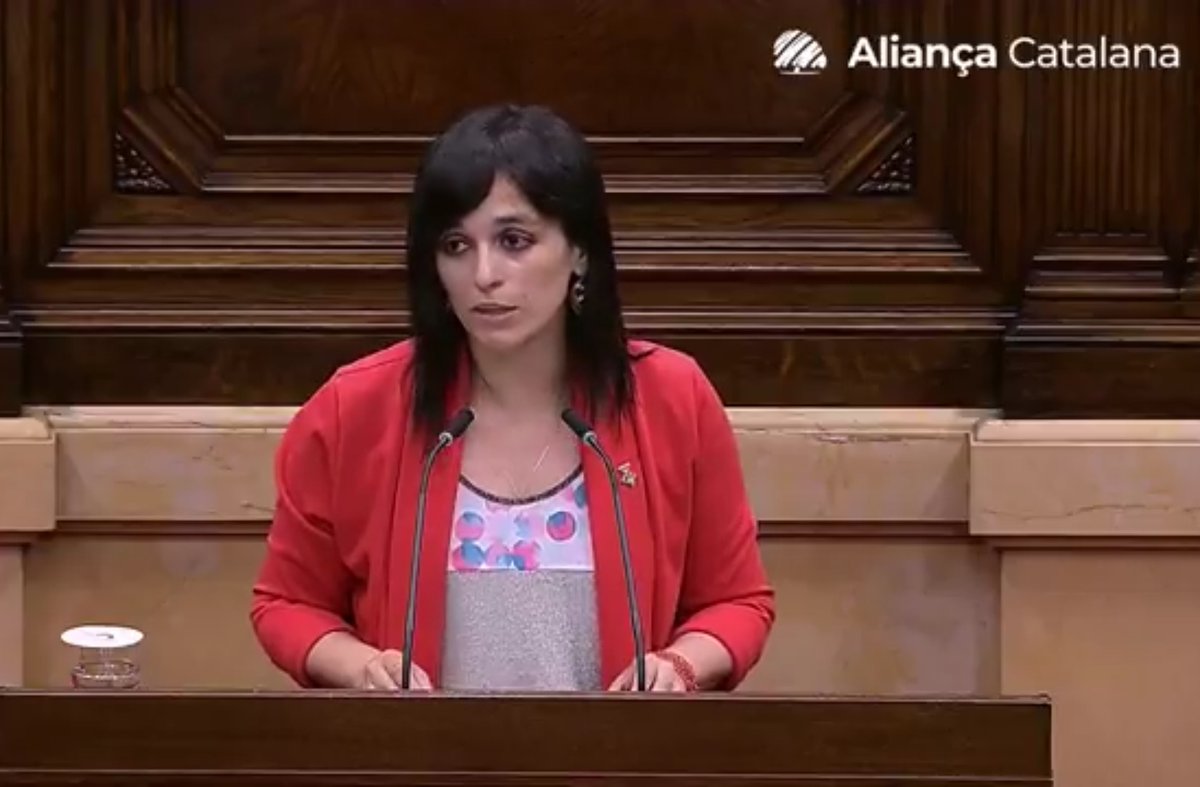 Sílvia Orriols (AC) defensa una llei catalana de l’audiovisual sobirana on el català sigui la llengua obligatòria
estat.cat/silvia-orriols…