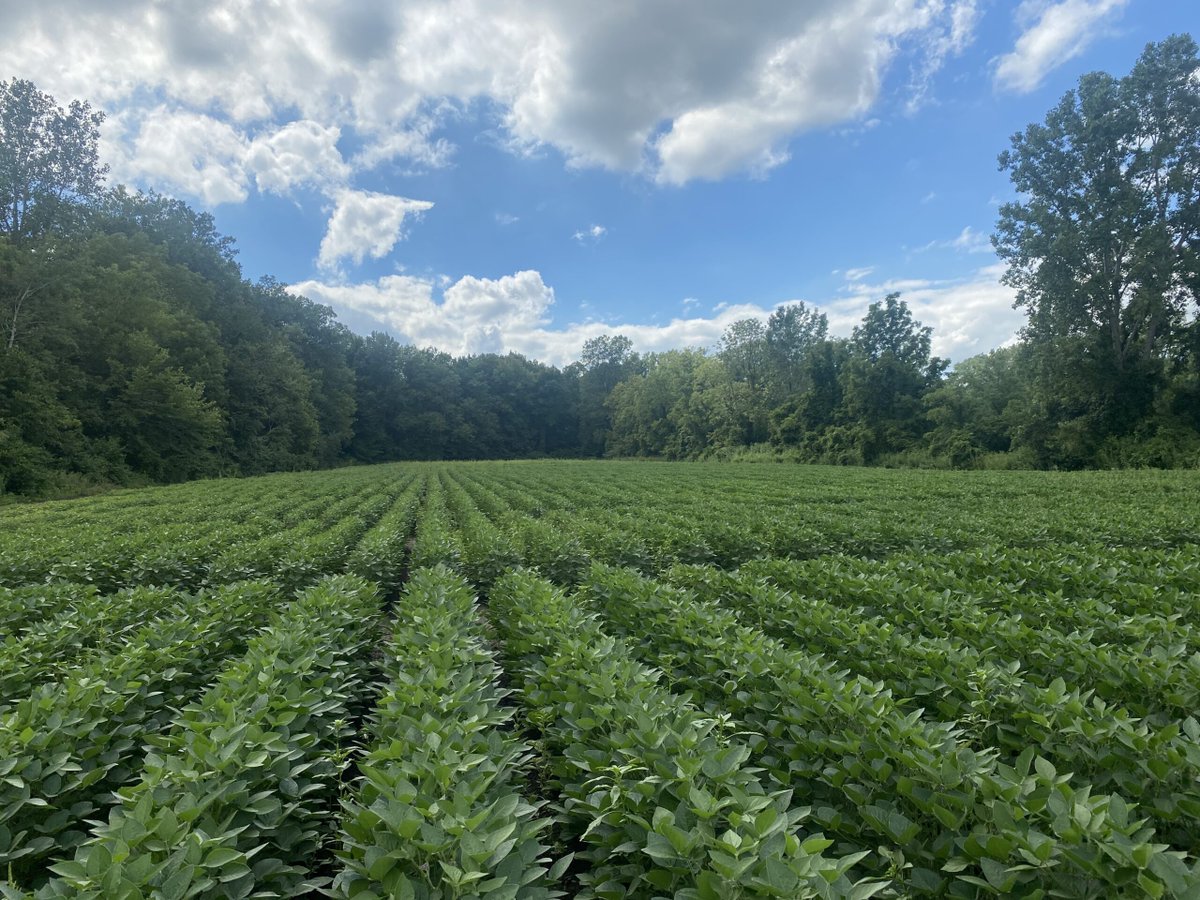 Take advantage of an upcoming Weed Science Short Course for 2026 in Winnipeg on January 26-30, 2026, and gain 20 PM CEUs. Only 40 spots available! 

For more information and/or to register: bit.ly/46TvXQX.