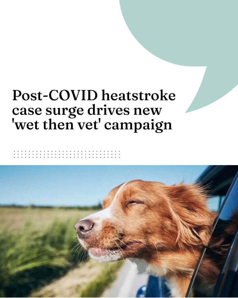 Post-COVID heatstroke case surge drives new 'wet then vet' campaign

 vettimes.com/news/vet-nursi…