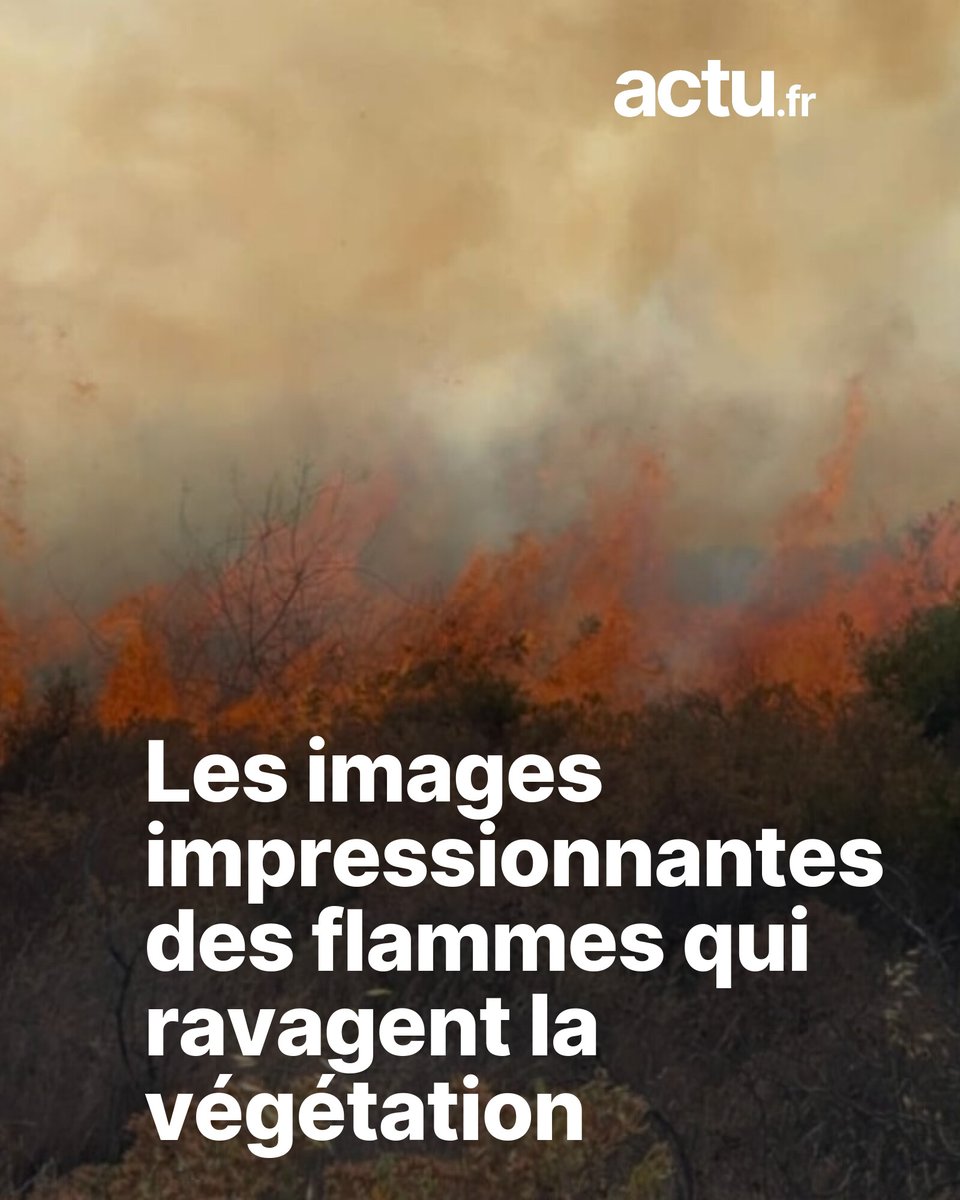 🔴 De très nombreux pompiers, appuyés par des canadairs, sont déployés

➡️ l.actu.fr/xDtv