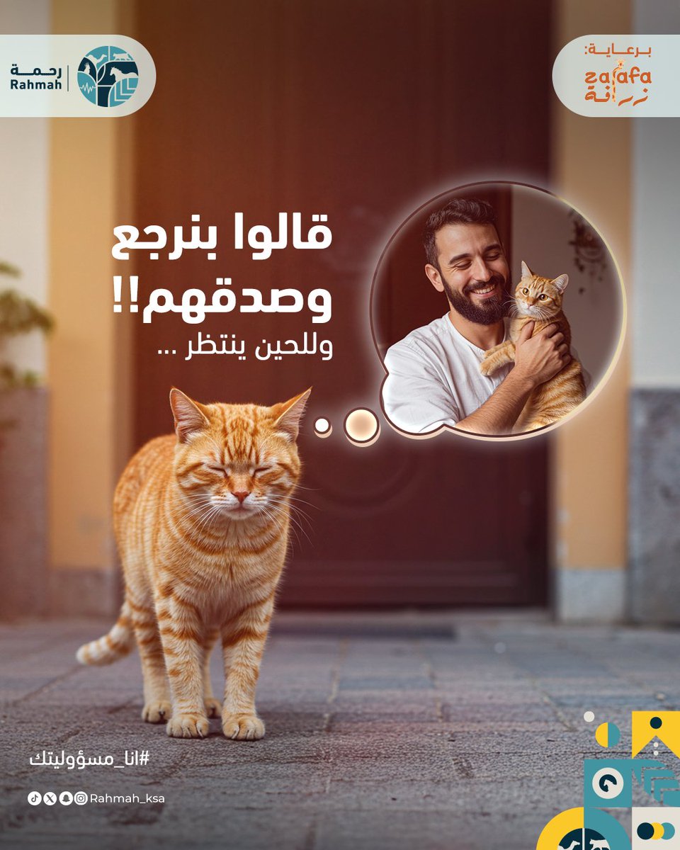 جمعية رحمة للرفق بالحيوان tweet media