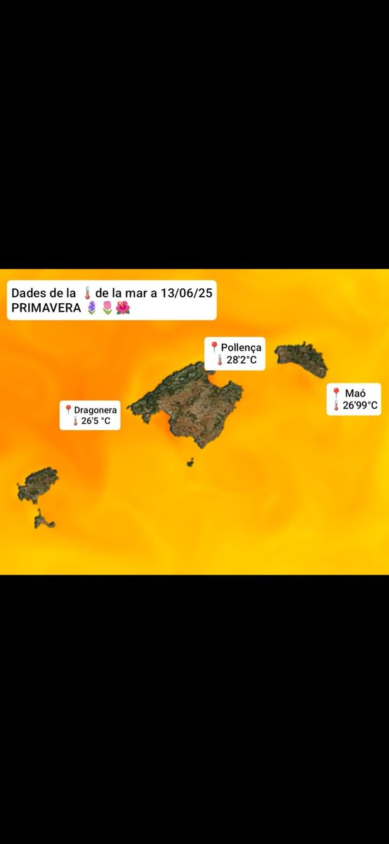 Ses coses no son fàcils per ningú
dins aquest iglú tan descongelat
tanta longitud
tan ple de finals
tan privat de tu...