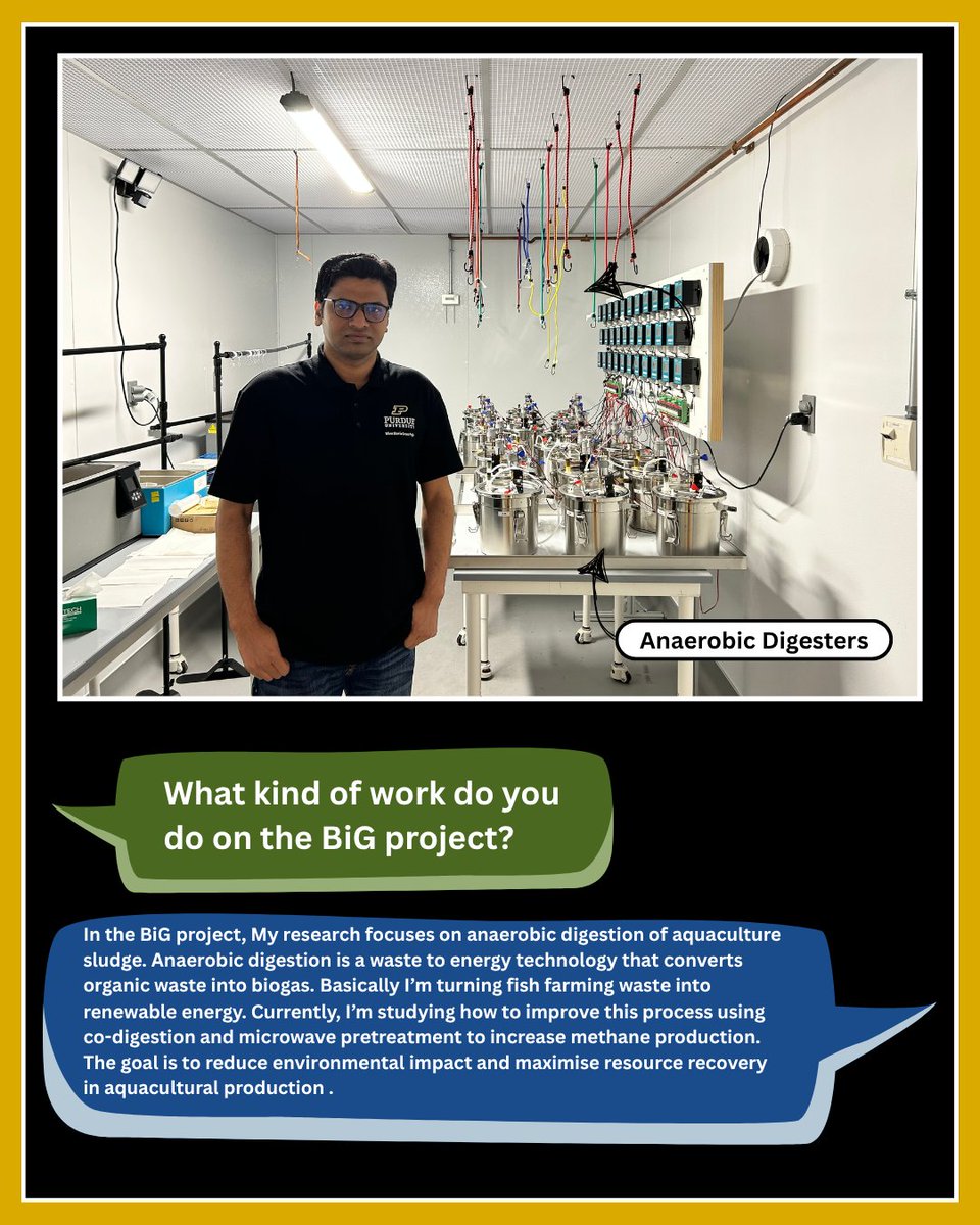 When Blue is Green Project tweet media