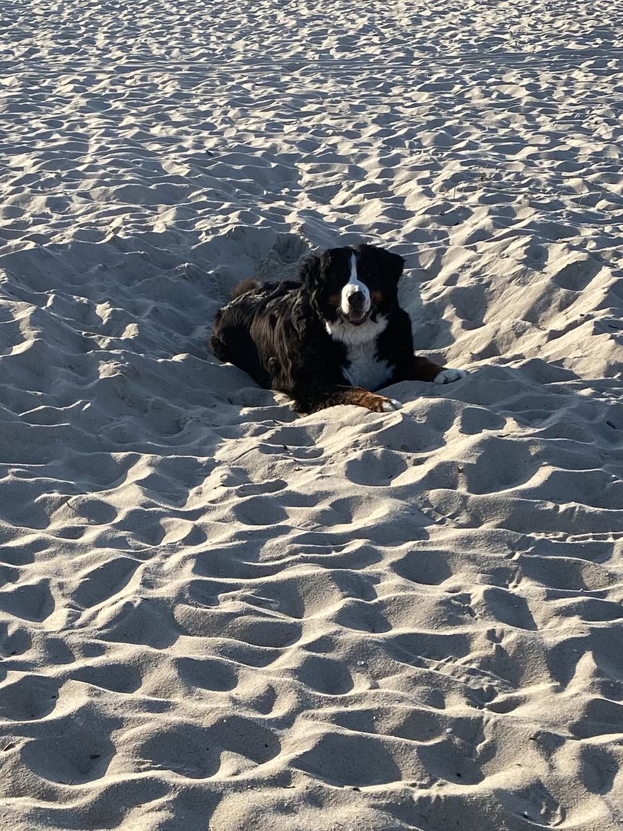 Danke der Nachfrage: gut geht’s