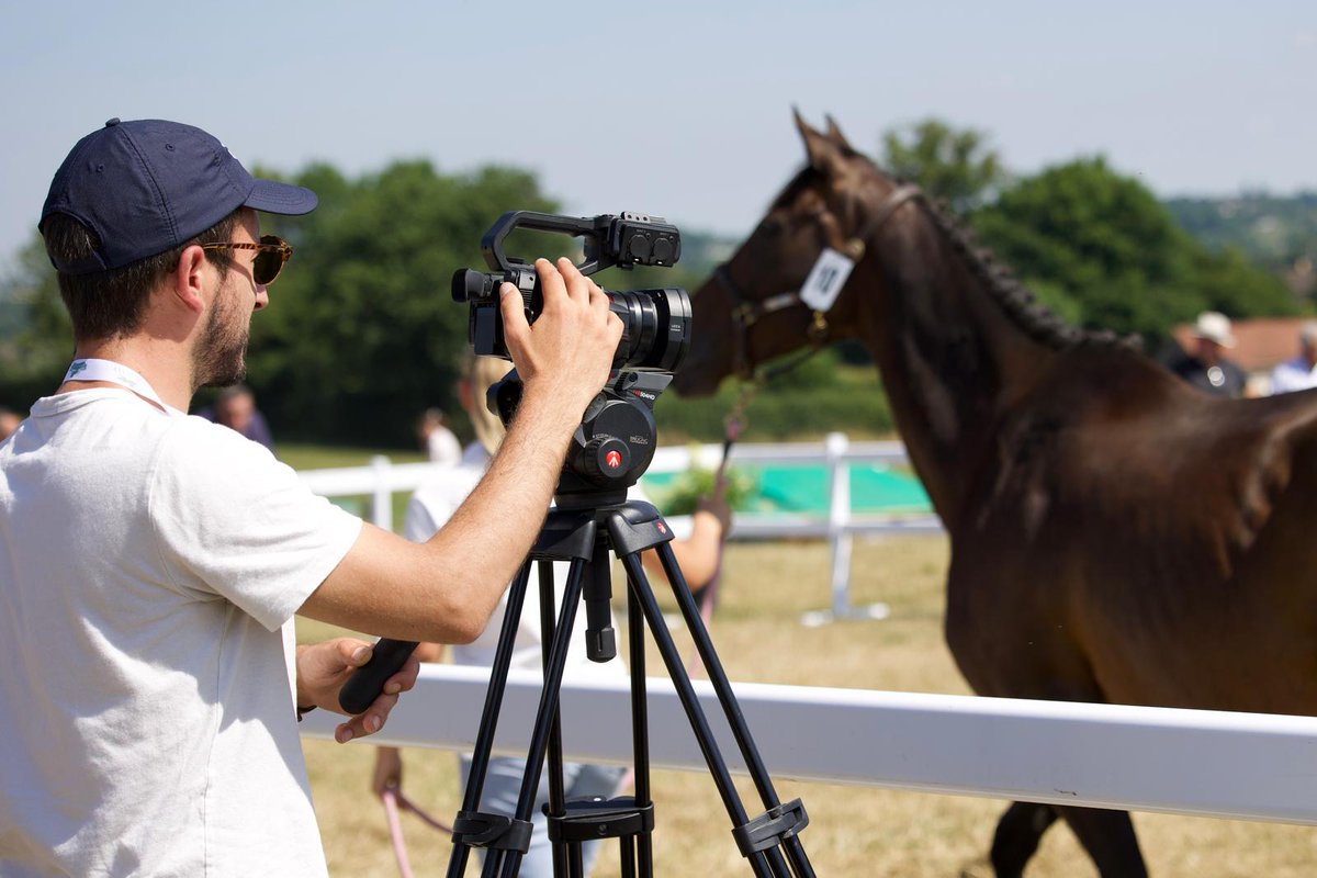 AQPS thefrenchchaser tweet media