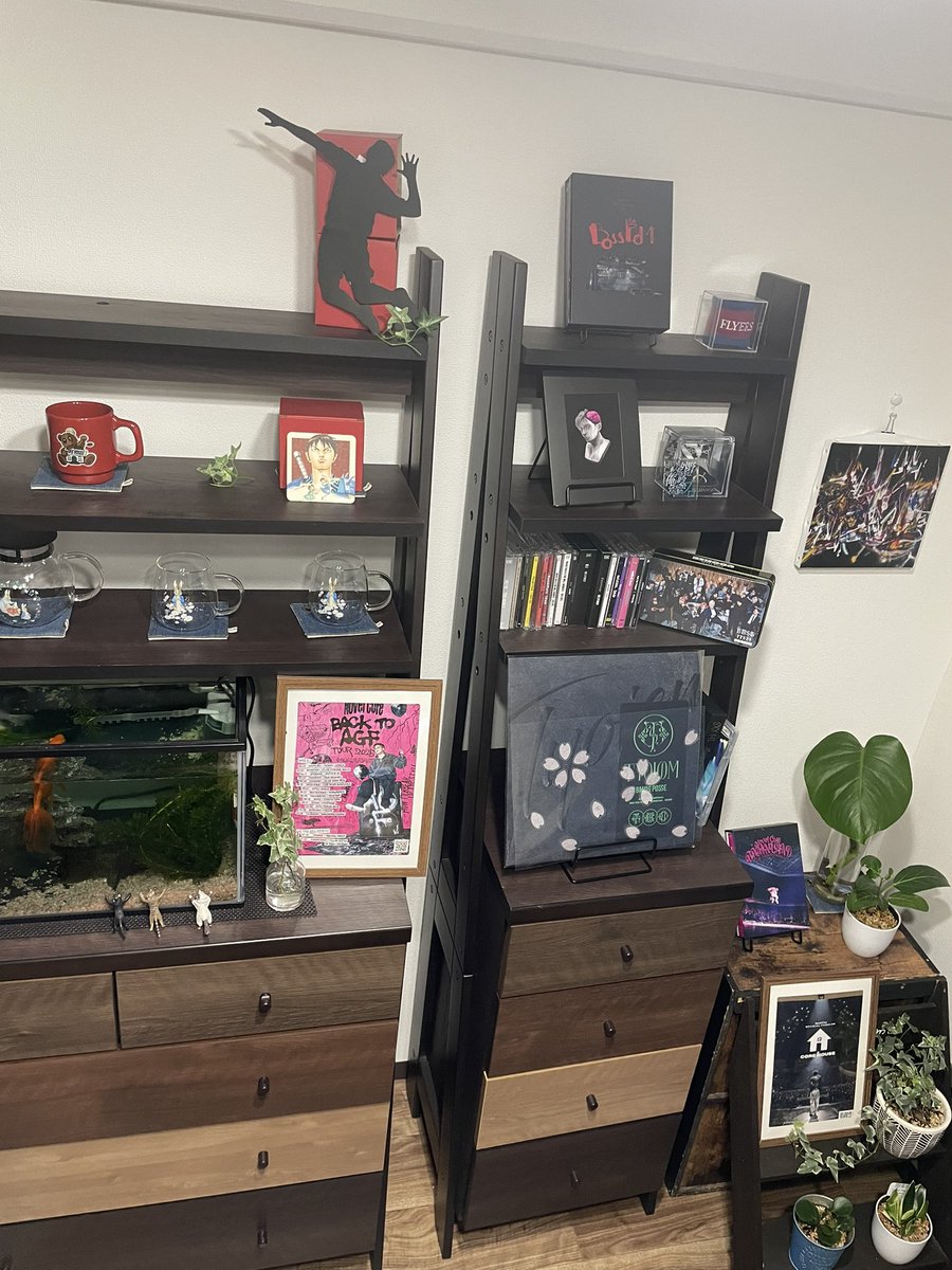 tomop_9696's tweet photo. 植物を育てるのは子育てに似ている
構いすぎて水をあげ過ぎると根腐れして枯れちゃう
水を忘れると枯れちゃう
植物の持っている特性を理解して適度な距離感でお水や肥料をあげるとすくすく育つ
理解と距離感
癒しと学び
ずっと一緒にいたいから☺️
#NoveCore
#ずっと
https://t.co/43RUMshTPg… https://t.co/j8q1Gt9fad
