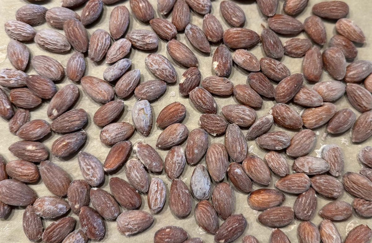 made brined and roasted almonds. this snack mogs and tastes way better than store bought roasted almonds

boil 1 cup water, add ⅓ cup salt &amp; stir, remove from heat and soak 8 oz. of almonds (raw, skin-on) 30 minutes, drain and roast at 375°F for 12-13 minutes
