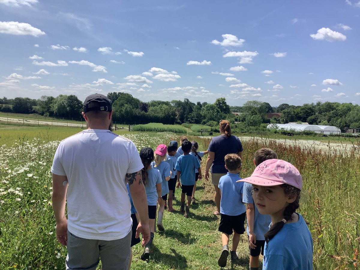 StAugustinesTW's tweet image. Reception and year one had a wonderful, hot trip to Bore place farm. We saw how the organic farm worked, took a stroll to see the cows, visited the vegetable garden and finally baked our own shortbread. Yum @kcsp_academies @RC_Southwark @BorePlace