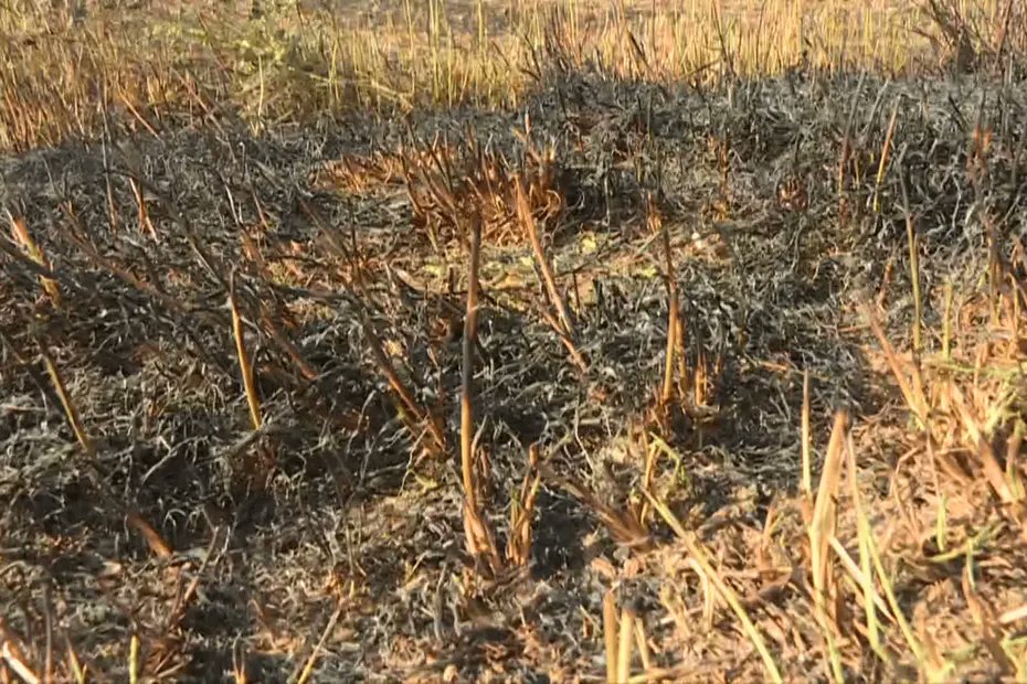 "Chaque citoyen a un rôle à jouer pour éviter les feux" : 3 conseils pour un été sans incendie france3-regions.franceinfo.fr/centre-val-de-…