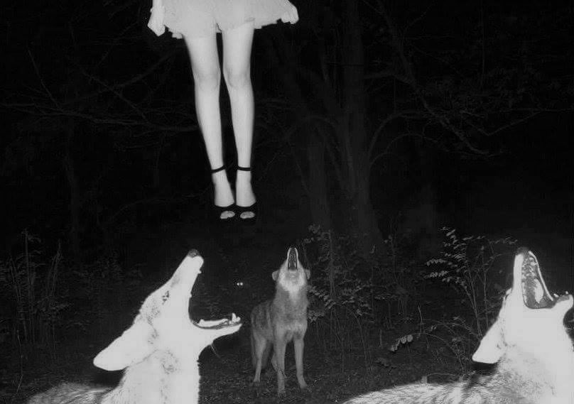 ٰ (@2castle_) on Twitter photo 