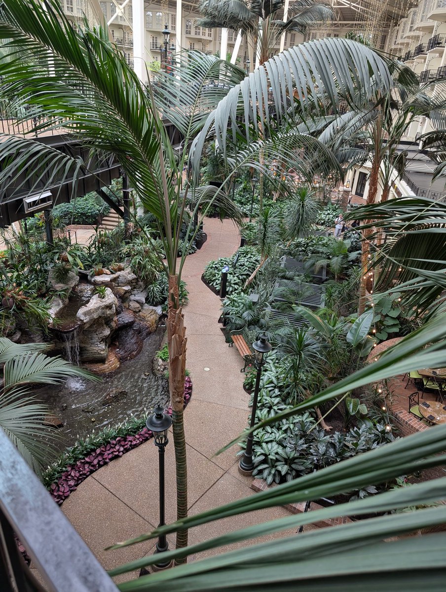 Mellow_Magikarp's tweet image. I'm at a conference in Nashville and this is the convention center!? 

Why don't we have regionals here? 😭