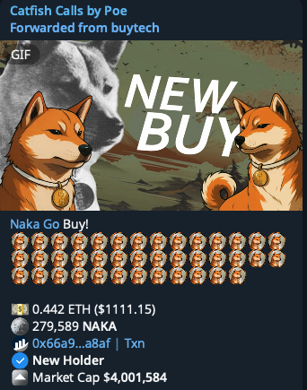 Many faded $NAKA 'its just another dog bro' nah man this is THE dog, the lore is do naka will go