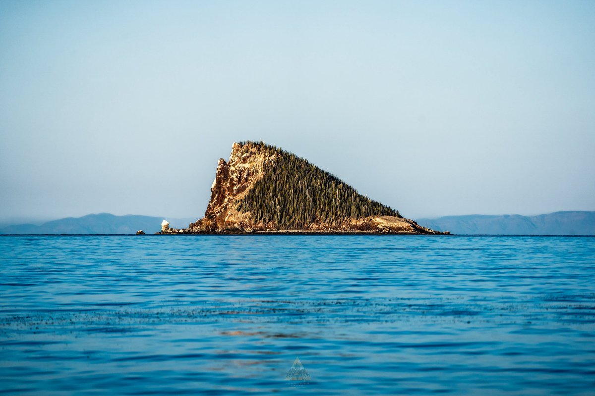 ¡Esta combinación de desierto con mar no la cambio por nada! 🌵❤️ 🌊 SONORA.