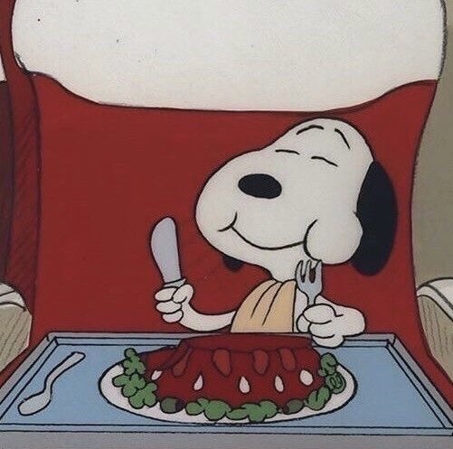 ˖⁺‧₊˚♡˚sainz snoopy ˚♡˚₊‧⁺˖ (@csainzsnoopy) on Twitter photo 