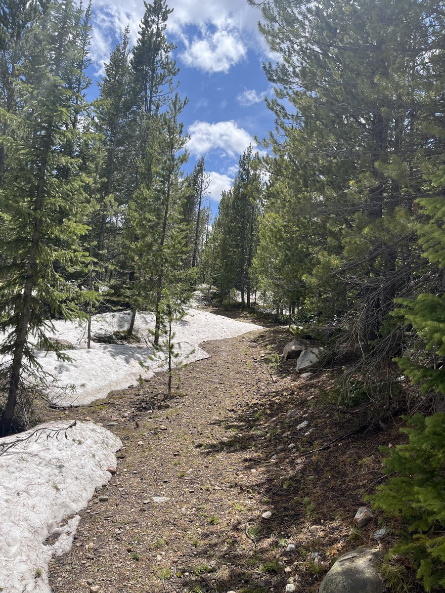 elmand21st's tweet photo. Walking up trail. https://t.co/MFtINQQHuR