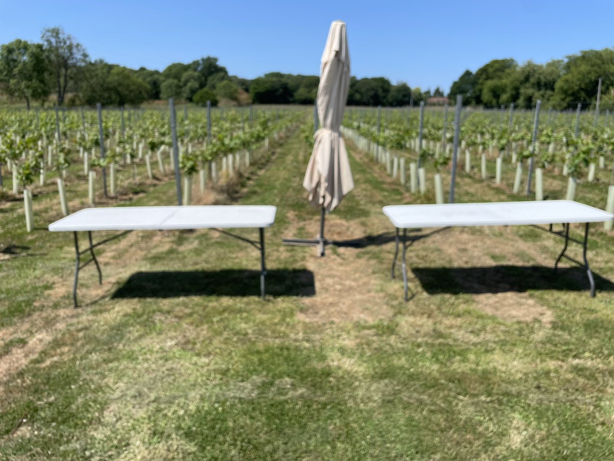 carl reevess tweet media