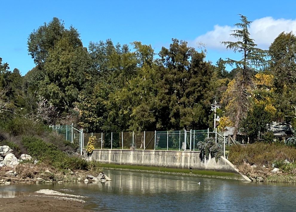Marin Public Works (@dpwmarin) on Twitter photo The construction phase for an important #flood risk reduction effort for Corte Madera Creek is expected to begin later this summer, pending contract approval. Work includes concrete channel removal and wetlands restoration.
Info: flooddistrict.marincounty.gov/corte-madera-c…
#MarinCounty <a href="/marinparks/">marinparks</a> The construction phase for an important #flood risk reduction effort for Corte Madera Creek is expected to begin later this summer, pending contract approval. Work includes concrete channel removal and wetlands restoration.
Info: flooddistrict.marincounty.gov/corte-madera-c…
#MarinCounty <a href="/marinparks/">marinparks</a>