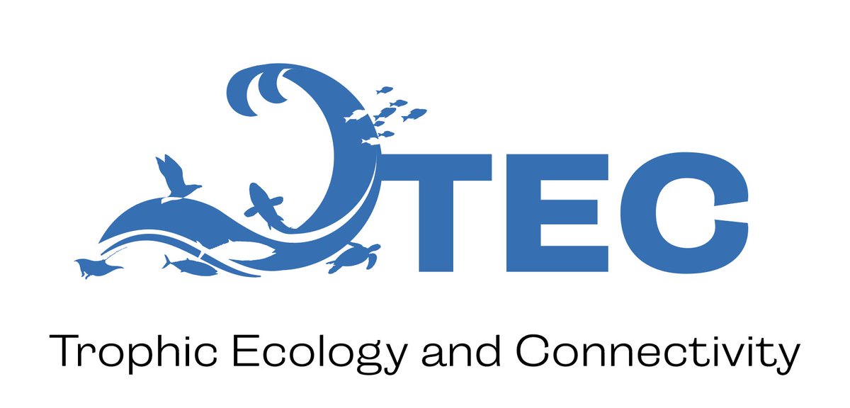 🔔New TEC service by iMARES at <a href="/ICMCSIC/">ICM-CSIC</a>!
TEC offers:
✔️ Diet, stable isotope &amp; molecular analyses
✔️ Laboratory sample processing
✔️ Data analysis support
✔️ Theoretical &amp; practical training in trophic ecology

▶️ Discover more: lc.cx/IHU3W-