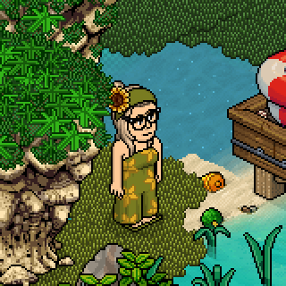 AnouksHabboX's tweet image. Ready for the summer! 🏖️
@Habbo_Staff