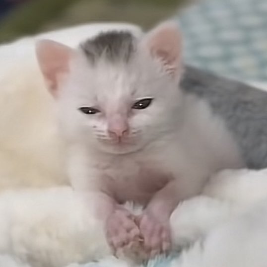 pov you accidentally opened twitter dot com
