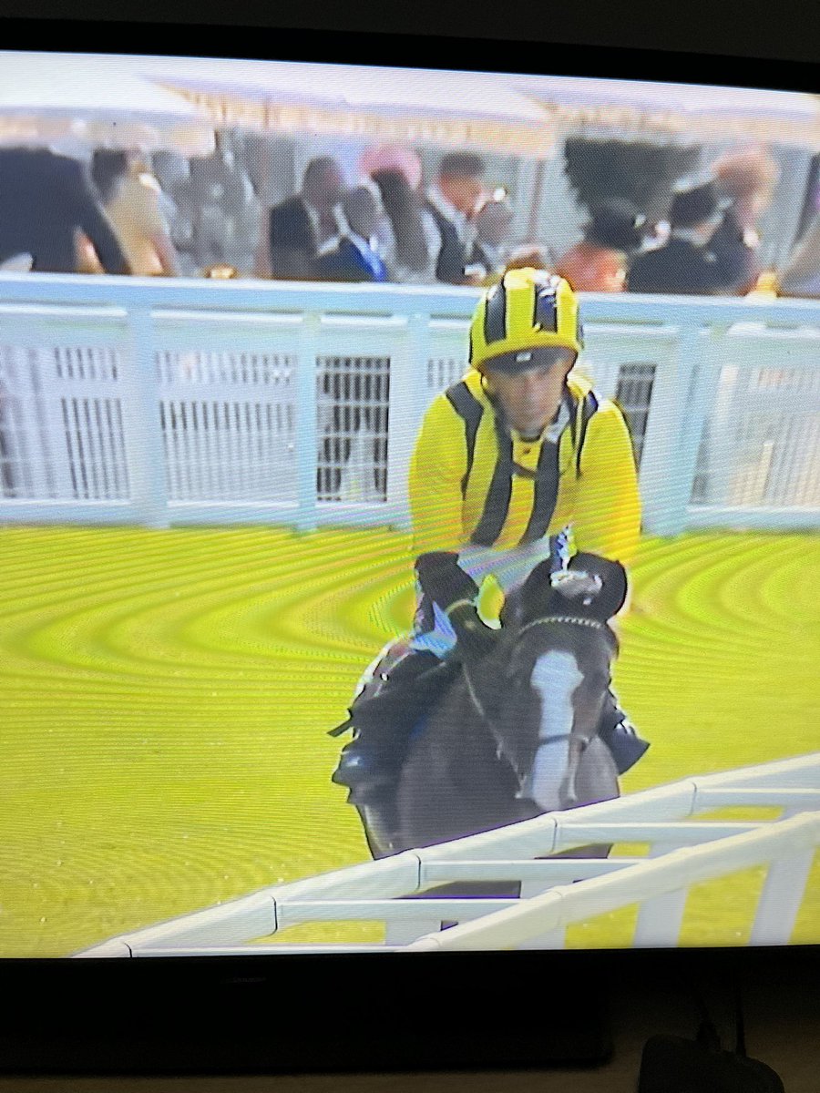 Gøy med seier til Skogan Stutteri på Royal Ascot