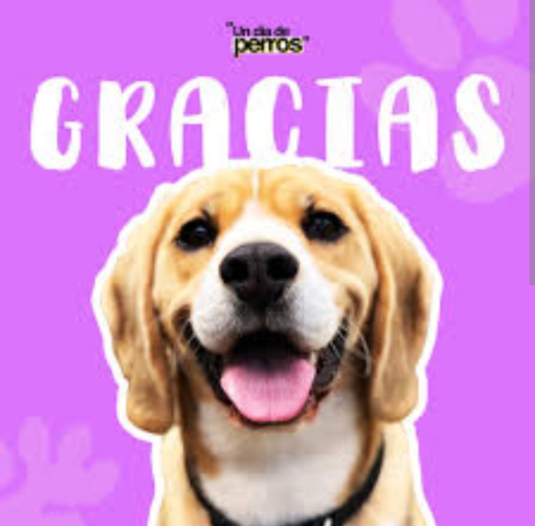ᑭᏞᗩᑎᗴᎢᗩ Ꮓᗩᖇᑭᗩ (@planetazarpa) on Twitter photo Hola familia 🐾
Seguimos con la factura de guardería Bichiños 🐕🦺💪🏼
Mil gracias de ❤️ a <a href="/Pequeoratn1/">Pequeño_ratón</a>, a <a href="/EgausakerEva/">Eva Gausaker Madrid</a> y a <a href="/Atabales_Tocan/">La Mala reputación, contradictoria y líquida.</a> por el mega empujón para pagarla, gracias infinitas 🤗
Nos echáis una patita? NO hay ayuda pequeña, 1€, 2€, 5€....todo significa y suma Hola familia 🐾
Seguimos con la factura de guardería Bichiños 🐕🦺💪🏼
Mil gracias de ❤️ a <a href="/Pequeoratn1/">Pequeño_ratón</a>, a <a href="/EgausakerEva/">Eva Gausaker Madrid</a> y a <a href="/Atabales_Tocan/">La Mala reputación, contradictoria y líquida.</a> por el mega empujón para pagarla, gracias infinitas 🤗
Nos echáis una patita? NO hay ayuda pequeña, 1€, 2€, 5€....todo significa y suma