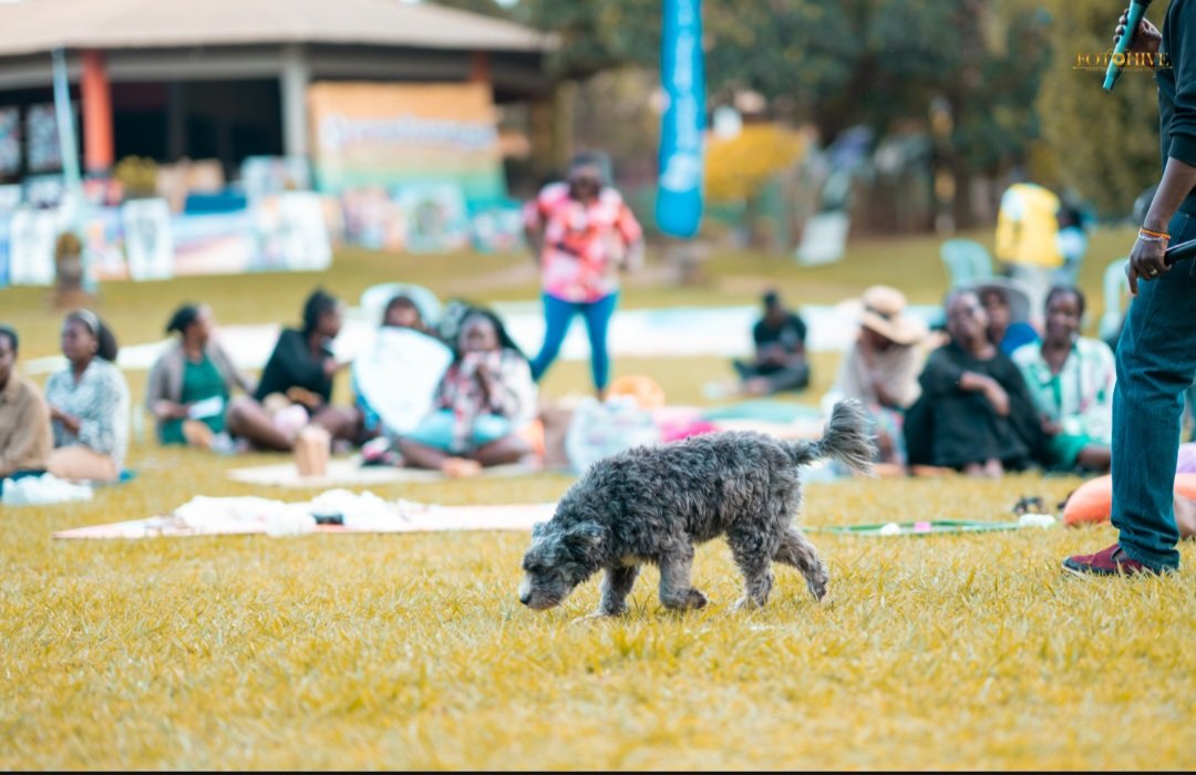 SoulFoundationU's tweet image. Look who turned up for #SoulPicnic2025! 🐶💚
Because healing spaces should be warm, welcoming… and a little bit furry.
Sometimes, all you need is sunshine and a wagging tail. 🌞🐾
#SoulFoundationUganda #MentalHealthUG #PicnicVibes #DogsMakeEverythingBetter