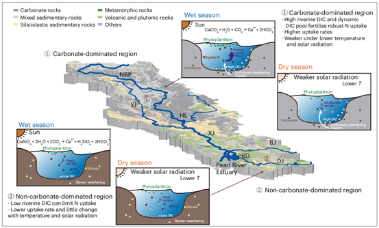 hydro90er's tweet photo. Does rocks impact nitrogen uptake in global rivers? 🌍💧
Rock weathering changes riverine water chemistry, but its impact on coupled nitrogen and carbon cycle remains unclear. A new study published in @NatureGeosci explores this question!
🔗 https://t.co/2eHq1WNZcT https://t.co/PeD4tU1d82
