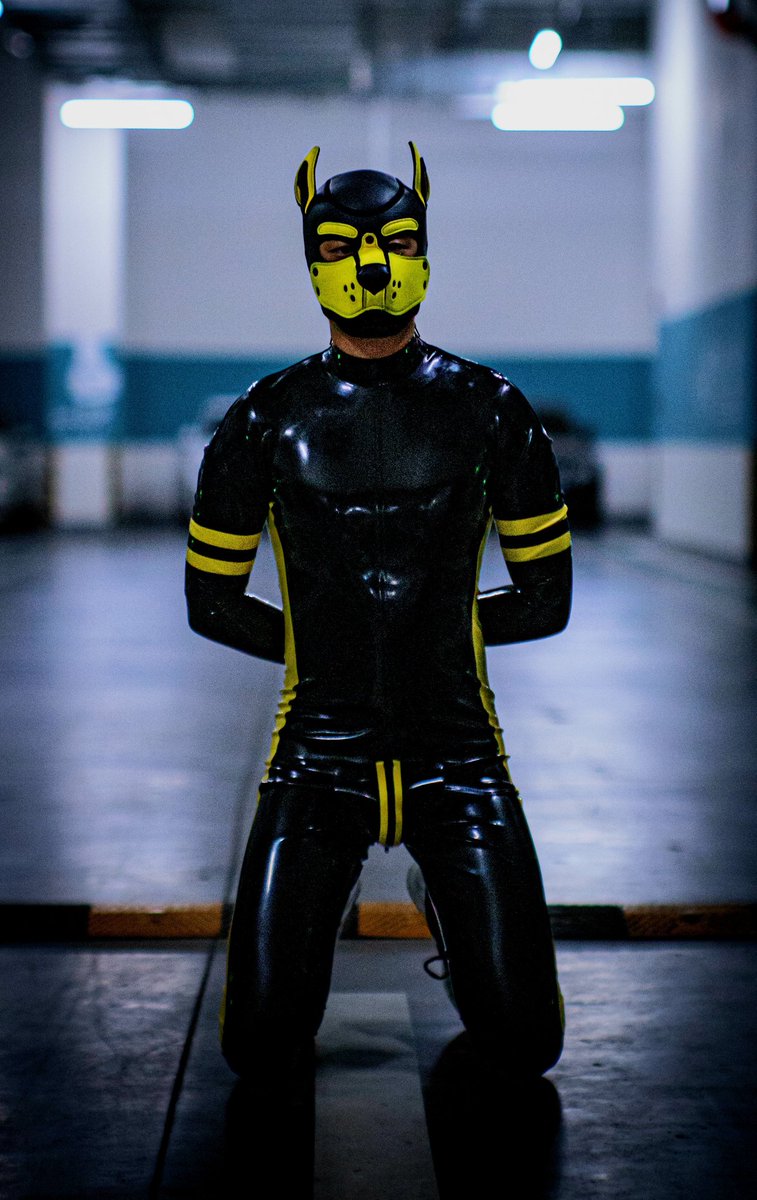 下跪、手背好、服从。
不需要什么思考，狗就该听话。
洗脑越深，快乐越纯。