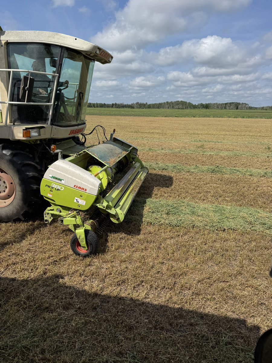 Brad Hockridge tweet media