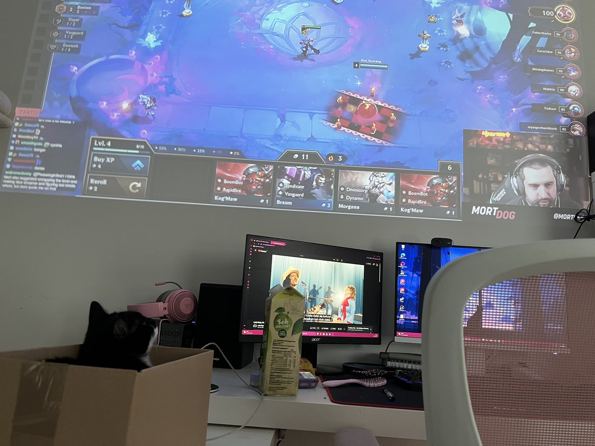 yamuhere's tweet photo. @Mortdog I have to say - my cat loves to watch you, even sometimes comments on your plays https://t.co/IRd1s74mfB