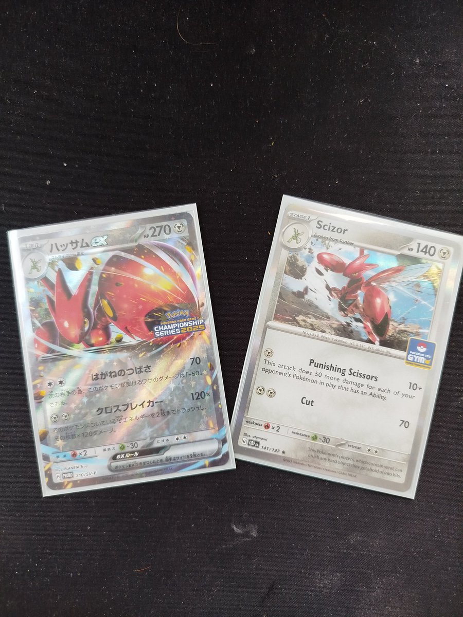 Mandatory "I got new Scizor cards"-tweet
See you again next year