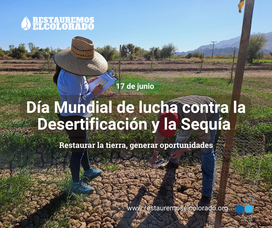 Restauremos El Colorado tweet media