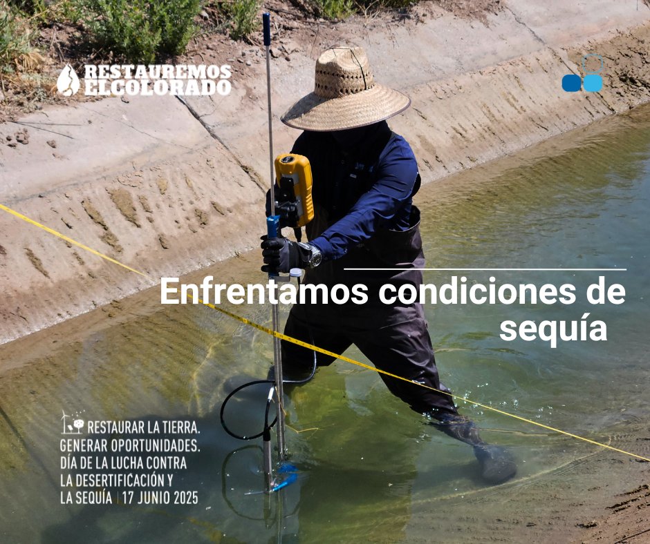 Restauremos El Colorado tweet media