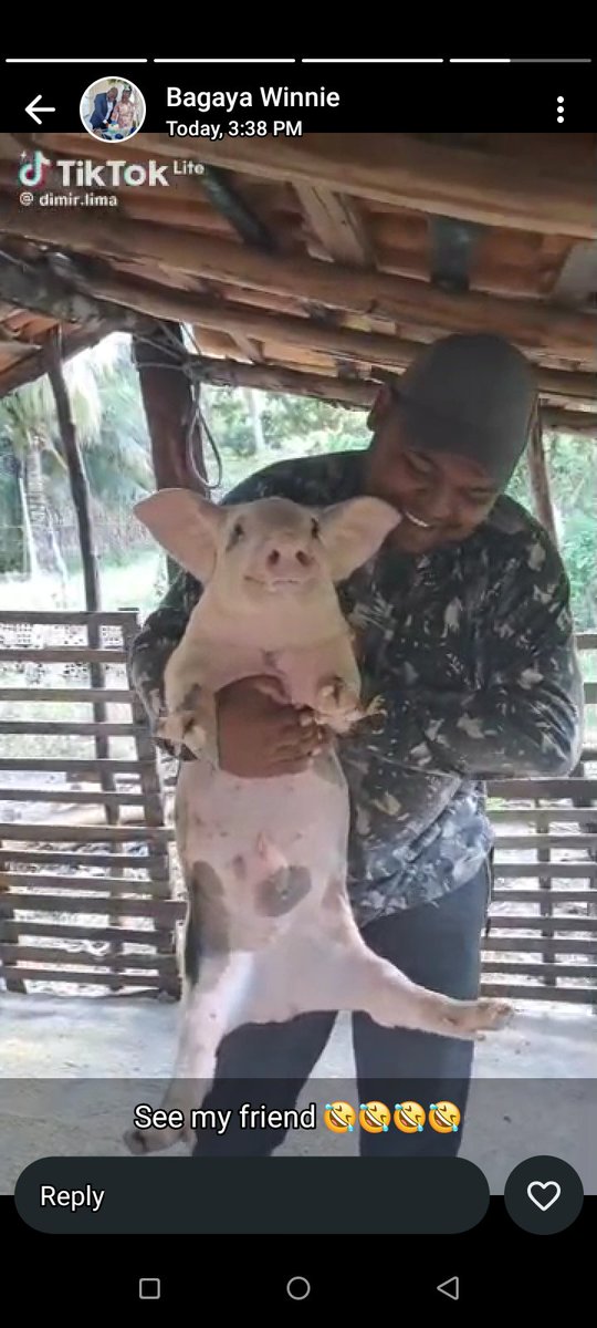 Whenever i see a P1g i can't help but think about Brighto😅😂.
 His bro right there 🤣