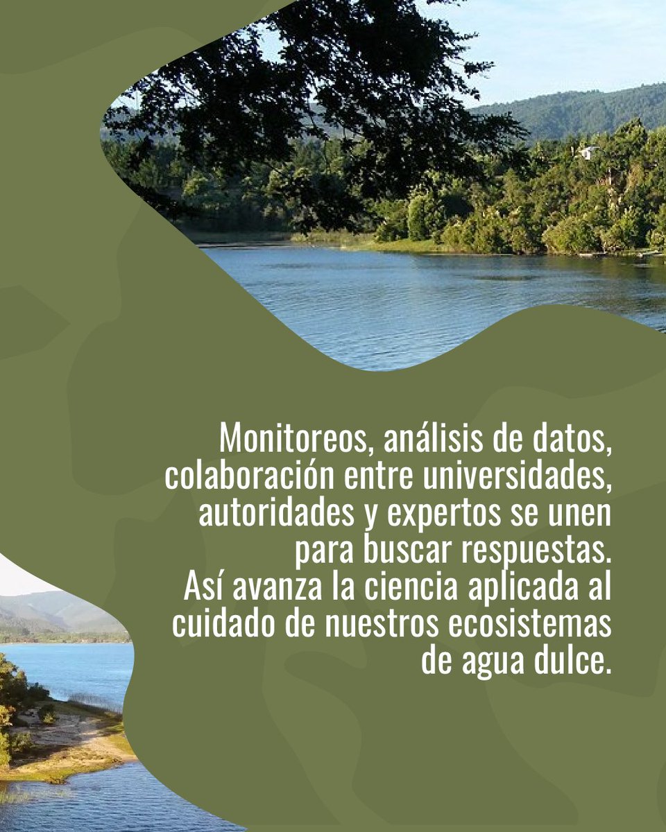 Chile Lagos Limpios tweet media