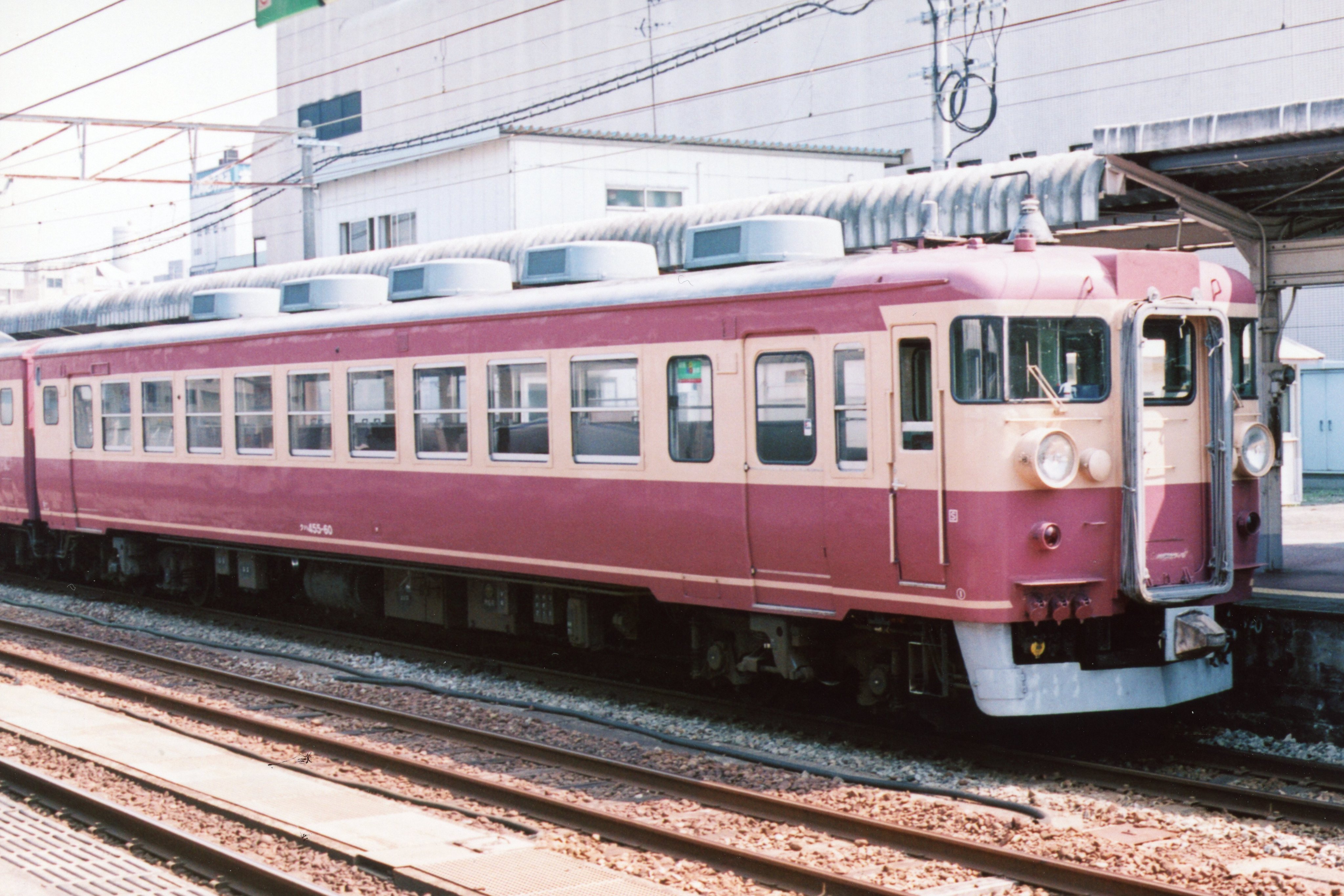 ぽん（感謝） 515on8xtKaL._UF350,350_QL80_.jpg