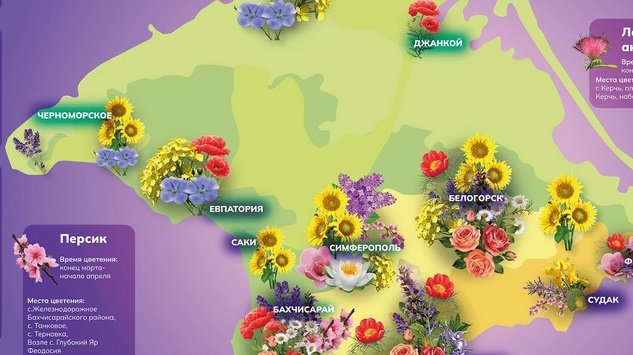 PMSimferopol's tweet image. 🪻Lavender blooming in #Simferopol!
#Welcome2Crimea 
#WorldTourism 
#Russia🇷🇺 
➡️flower.travelcrimea.com