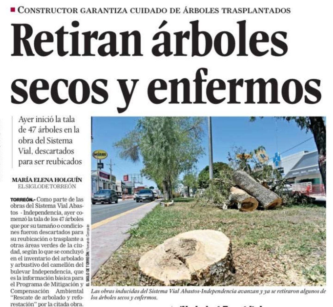 En el Bulevar Independencia se están talando y trasplantando árboles por las obras del nuevo Sistema Vial Abastos-Independencia. 

¿Sabes qué debe cumplirse para que estas acciones no impacten el medio ambiente?

🌳 Trámite MA-003: autoriza la tala solo con diagnóstico técnico y