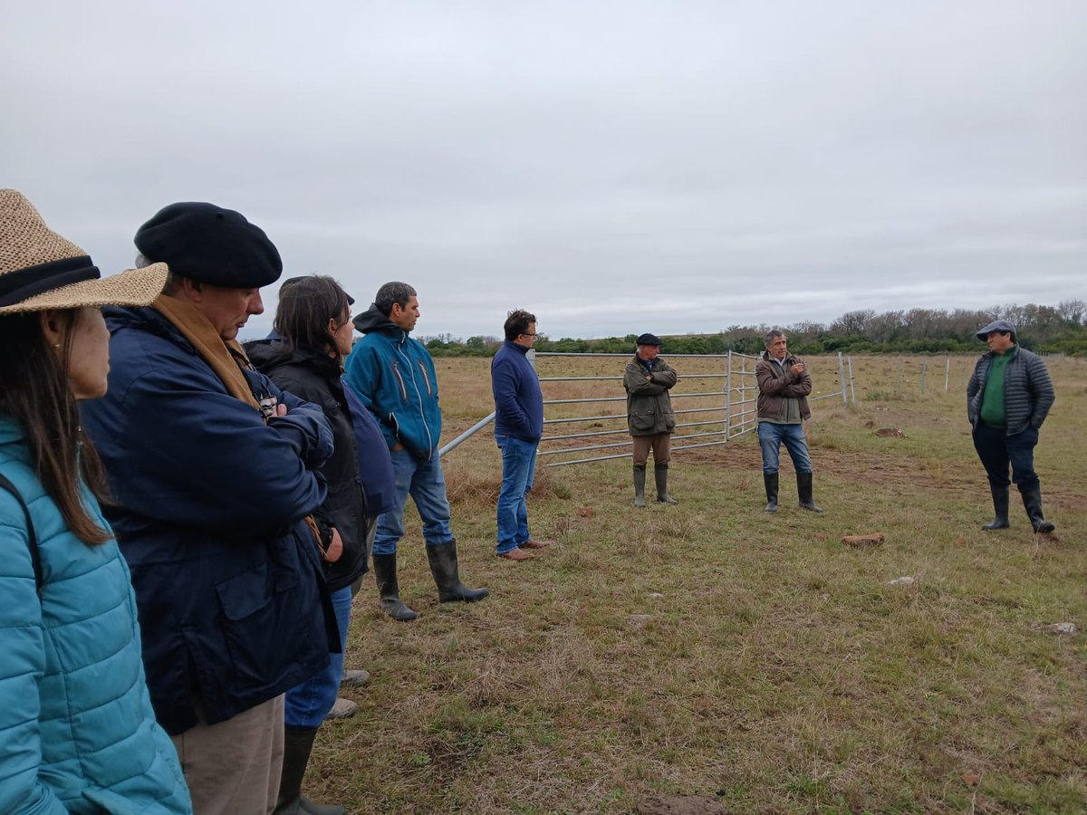 INIA URUGUAY tweet media