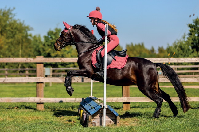 🌟𝗠𝗶𝗻𝗶 𝗫𝗖 𝗖𝗼𝘂𝗿𝘀𝗲 𝗛𝗶𝗿𝗲
📅 Open 7 days a week
⏰ 8:00AM - 5:00PM

𝗦𝘂𝗶𝘁𝗮𝗯𝗹𝗲 𝗳𝗼𝗿 𝗿𝗶𝗱𝗲𝗿𝘀 𝗮𝗻𝗱 𝗵𝗼𝗿𝘀𝗲𝘀 𝗼𝗳 𝗮𝗹𝗹 𝗮𝗯𝗶𝗹𝗶𝘁𝗶𝗲𝘀 🐎

Book your next session through our website here: keysoe.com/product/mini-x…

📍 Keysoe International,MK44 2JP