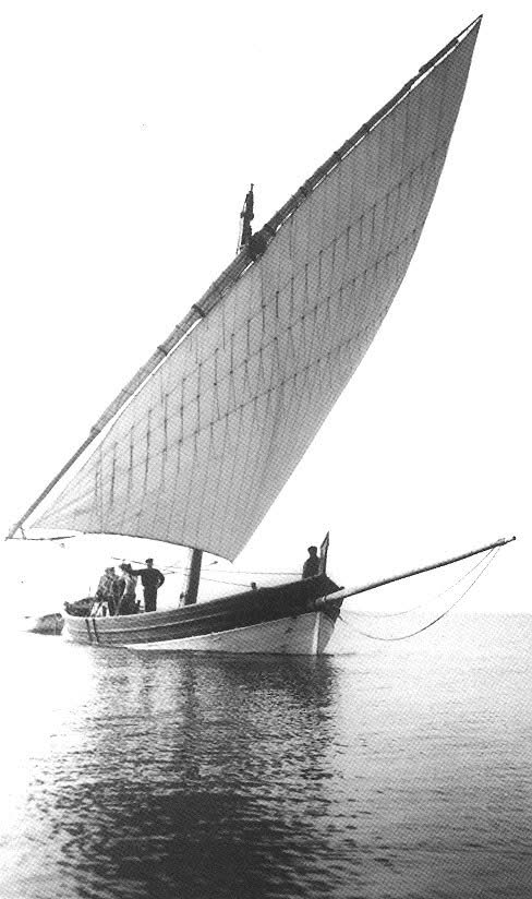 ⚓️MaRiO⚓️ (@1safetylast) on Twitter photo 