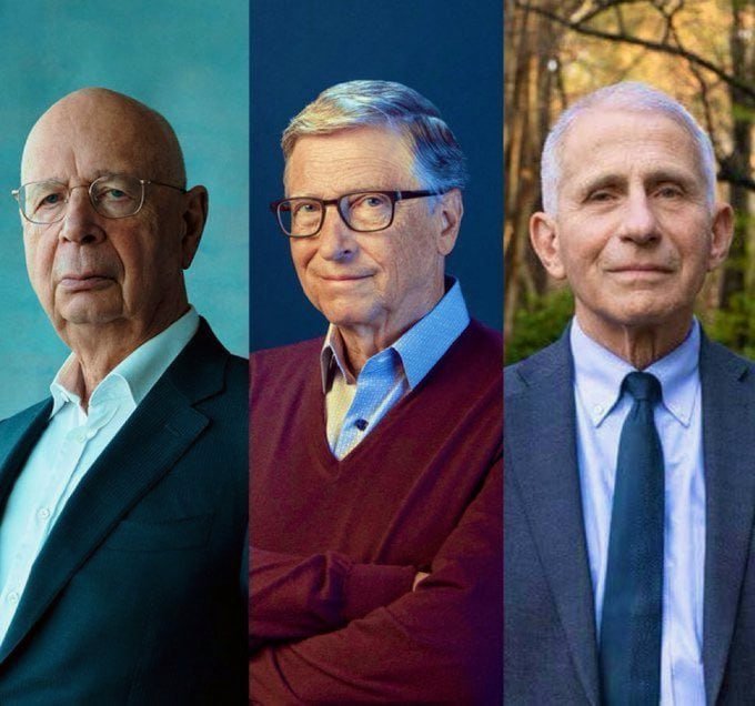 Elephant Signal 🐘🇺🇸 tweet media