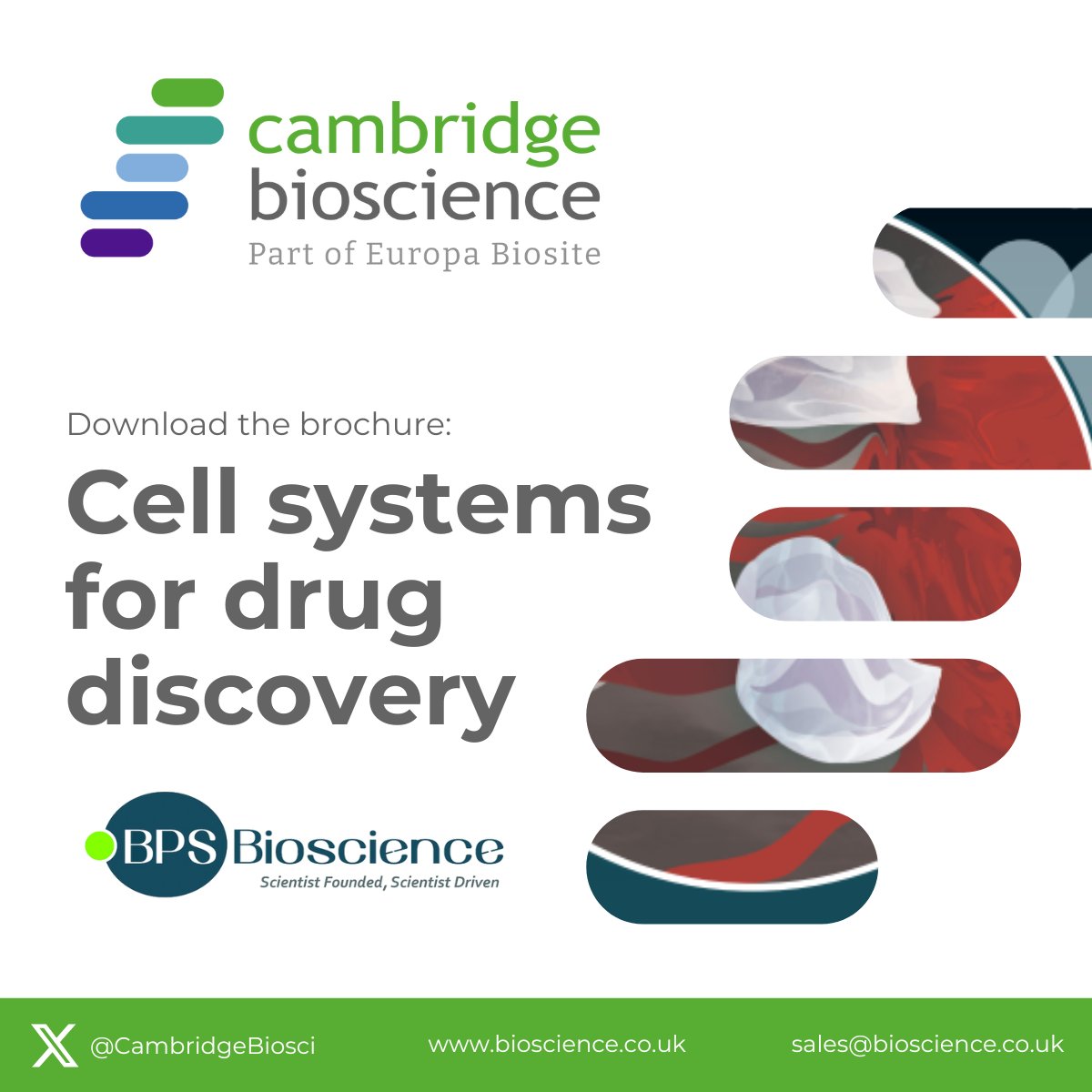Cambridge Bioscience (@cambridgebiosci) on Twitter photo 🔬 Need ready-to-use cell models for #drugdiscovery?
<a href="/BPSBioscience/">BPSBioscience 🔬🦠🧬</a> offers 200+ cell lines, luciferase kits, optimised media & expert support—ideal for CAR-T, iPSC & more.
📄 Explore the full range:
f.mtr.cool/xjagujripk 🔬 Need ready-to-use cell models for #drugdiscovery?
<a href="/BPSBioscience/">BPSBioscience 🔬🦠🧬</a> offers 200+ cell lines, luciferase kits, optimised media & expert support—ideal for CAR-T, iPSC & more.
📄 Explore the full range:
f.mtr.cool/xjagujripk