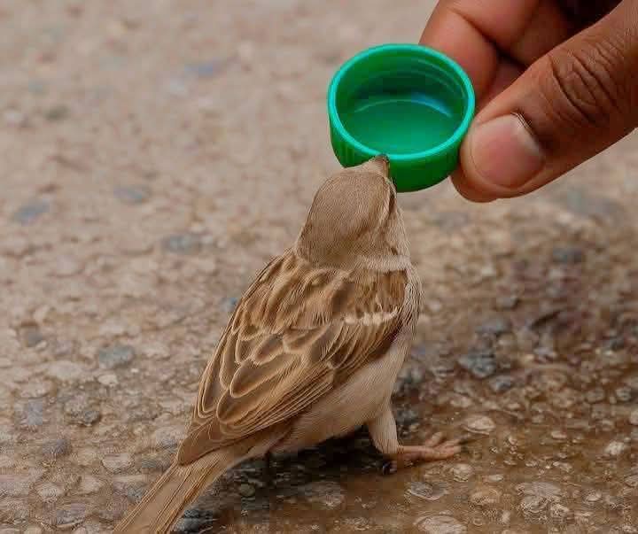 ما يأتي من القلب يبقى في القلب."
