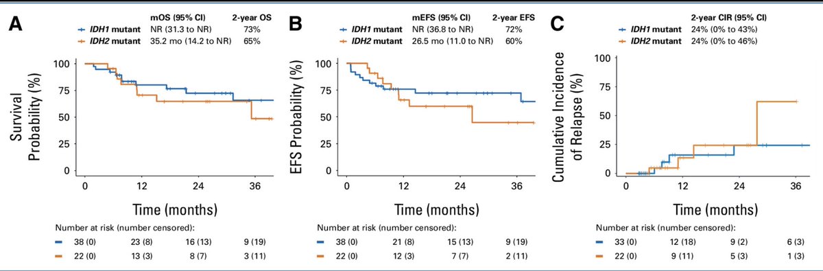 TalhaBadarMD's tweet image. Outcomes of Frontline Triplet Regimens With a Hypomethylating Agent, Venetoclax, and Isocitrate Dehydrogenase Inhibitor for Intensive Chemotherapy–Ineligible Patients With Isocitrate Dehydrogenase–Mutated AML | Journal of Clinical Oncology ascopubs.org/doi/full/10.12…
 
1.…
